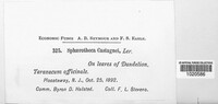 Image Associated With the Occurence